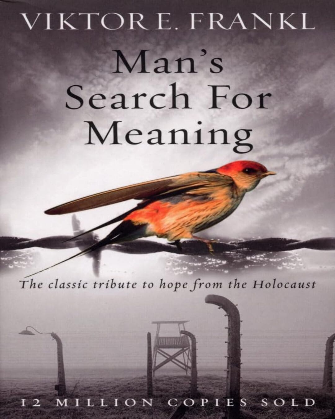 Man's Search For Meaning: The classic tribute to hope from the Holocaust  by Viktor E. Frankl