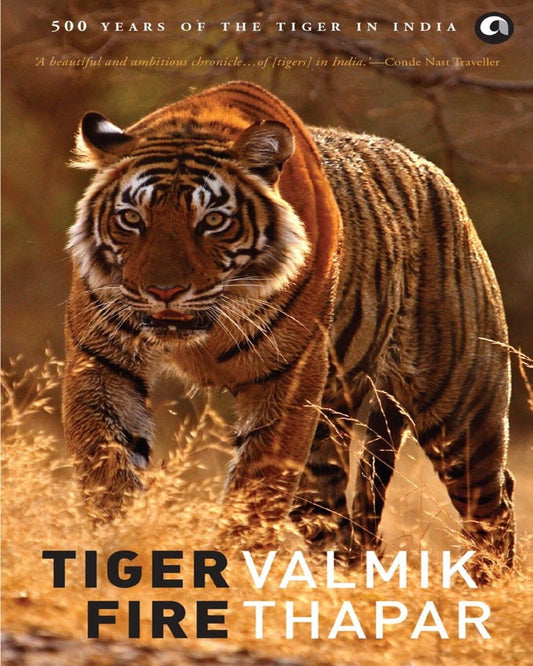 TIGER FIRE: 500 YEARS OF THE TIGER IN INDIA by Valmik Thapar [Paperback]