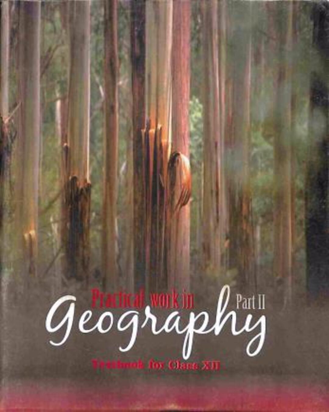 NCERT Practical Work In Geography Part 2 Textbook For Class12