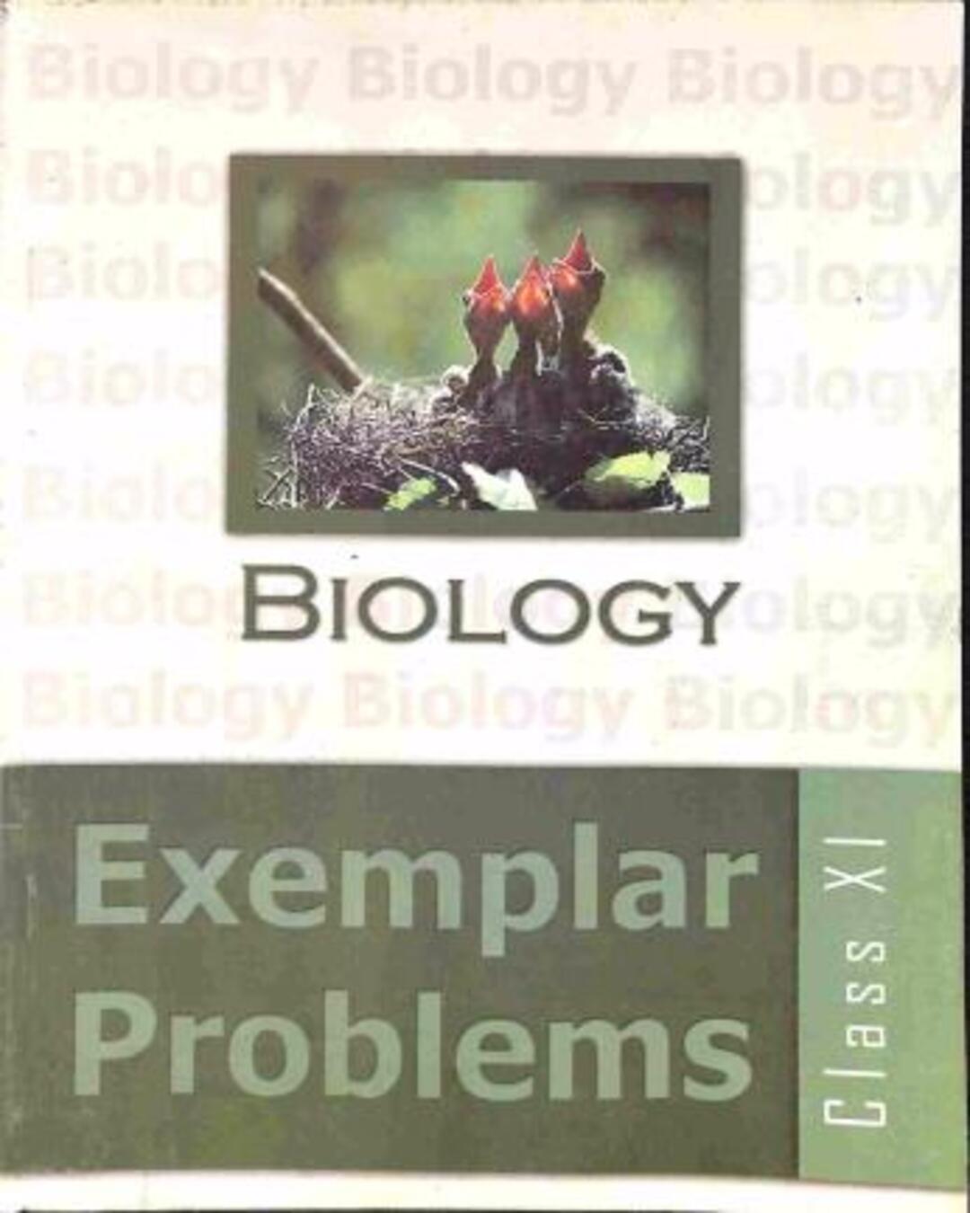 NCERT Biology Exemplar Problems Class 11