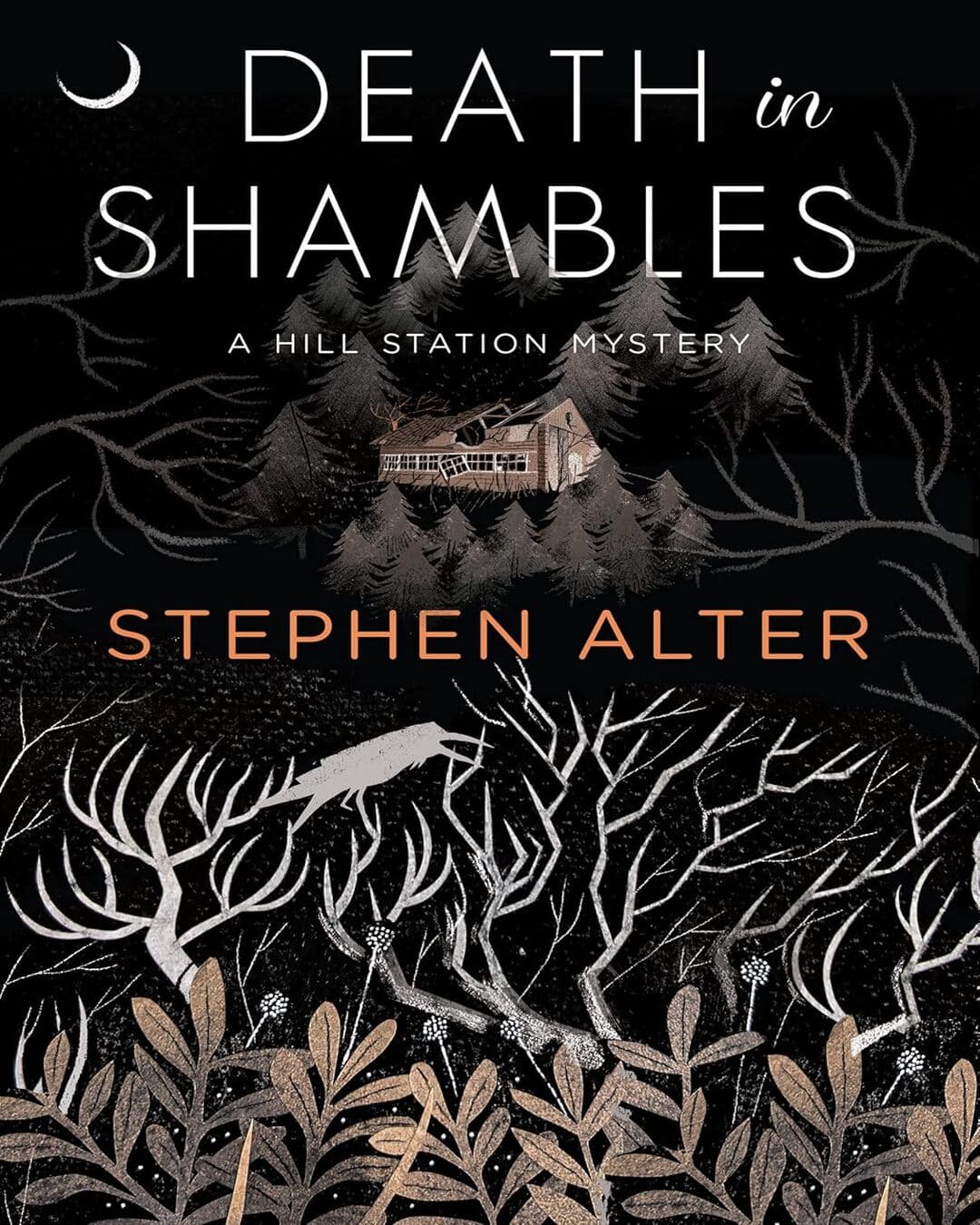 Death in Shambles: A Hill Station Mystery by Stephen Alter [Hardcover]