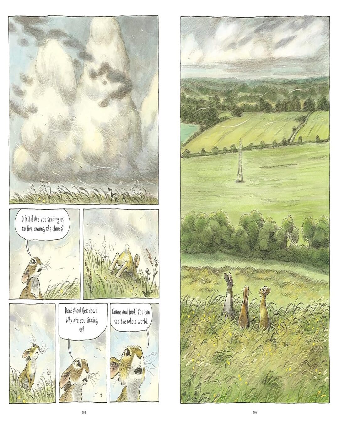 Watership Down: The Graphic Novel by Richard Adams,  James Sturm (Adapter, Illustrator), Joe Sutphin (Adapter, Illustrator) [Hardcover]