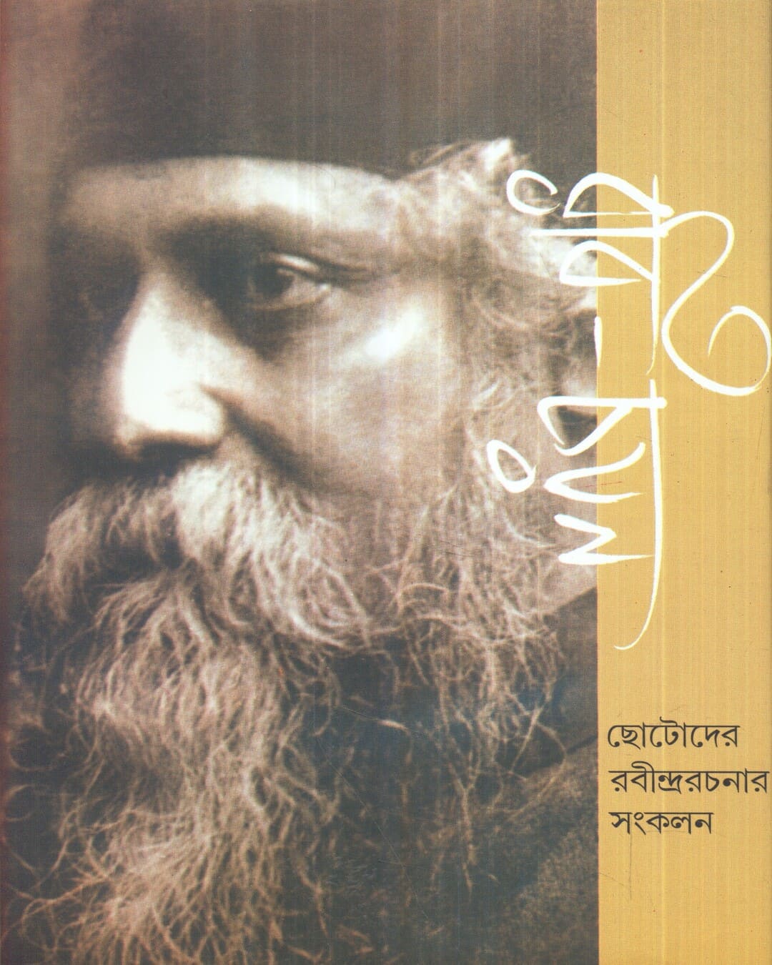 Rabi - Chayan by Rabindranath Tagore [Hardcover]