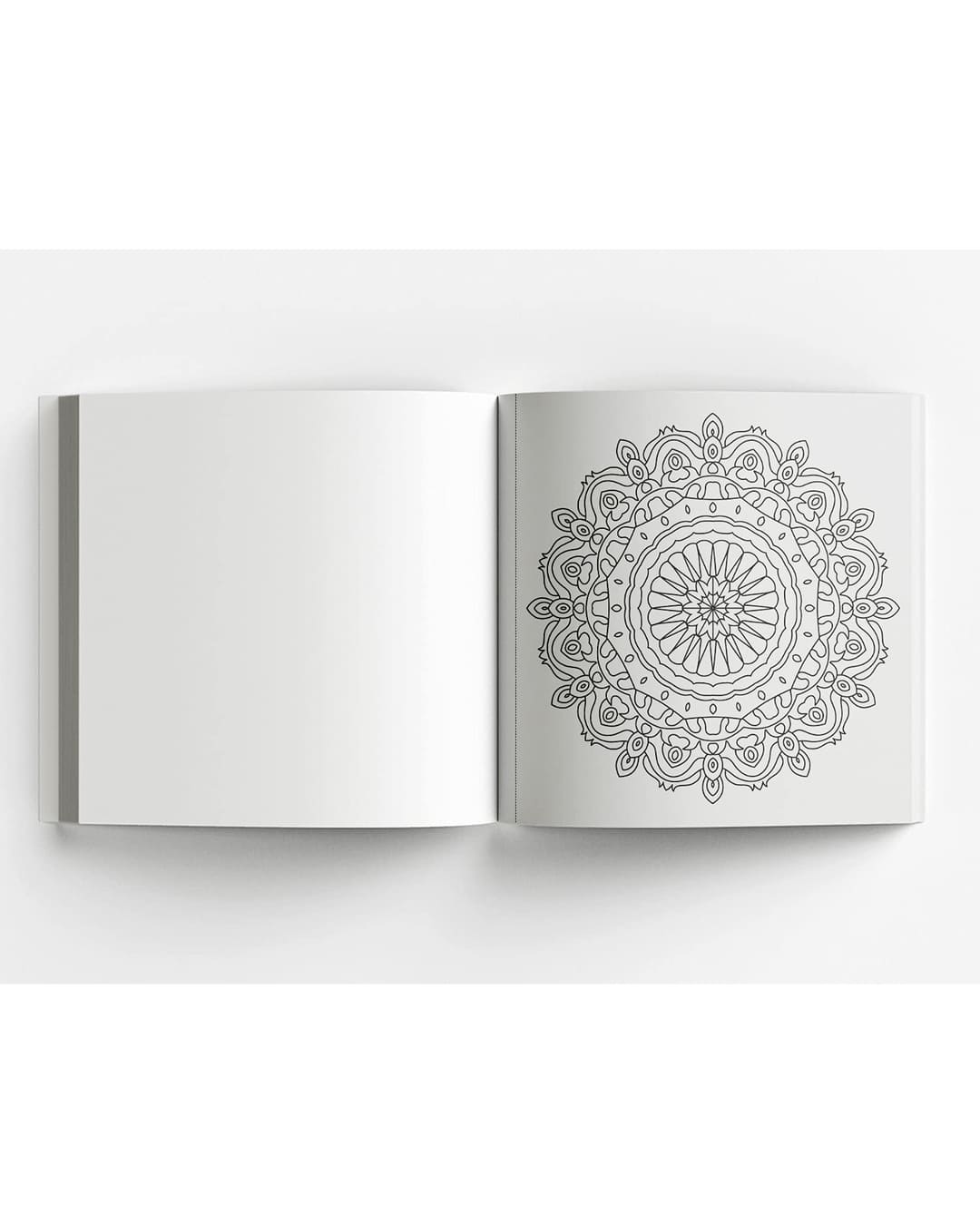 Mandala : Colouring books for Adults with Tear-out Sheets [Paperback]