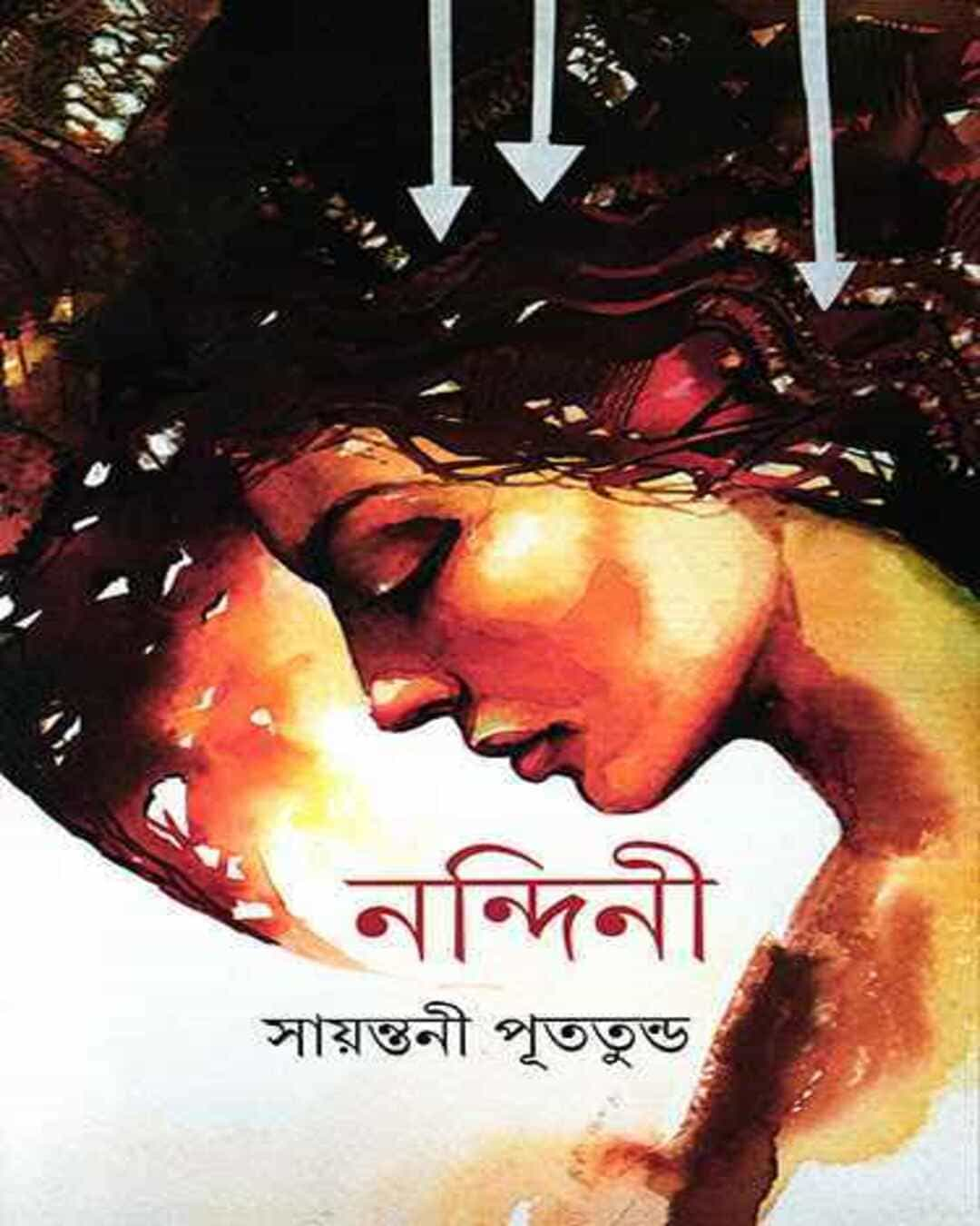 Nandini by Sayantani Putatunda [Hardcover]