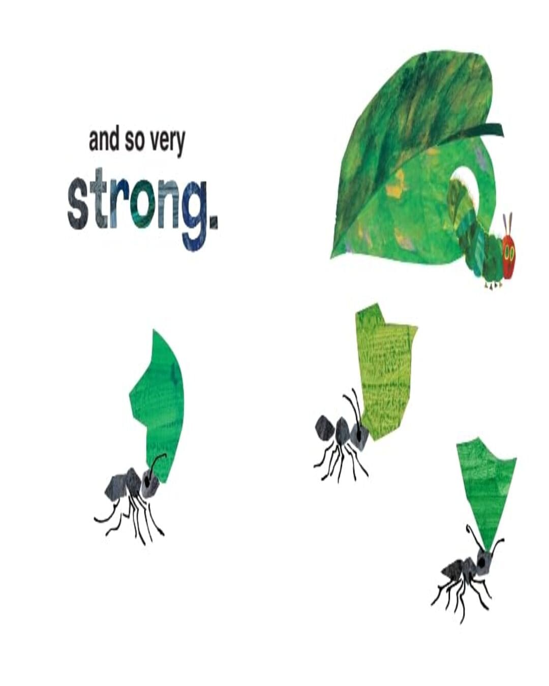 I Love Grandma With The Very Hungry Caterpillar by Carle Eric [Hardcover]