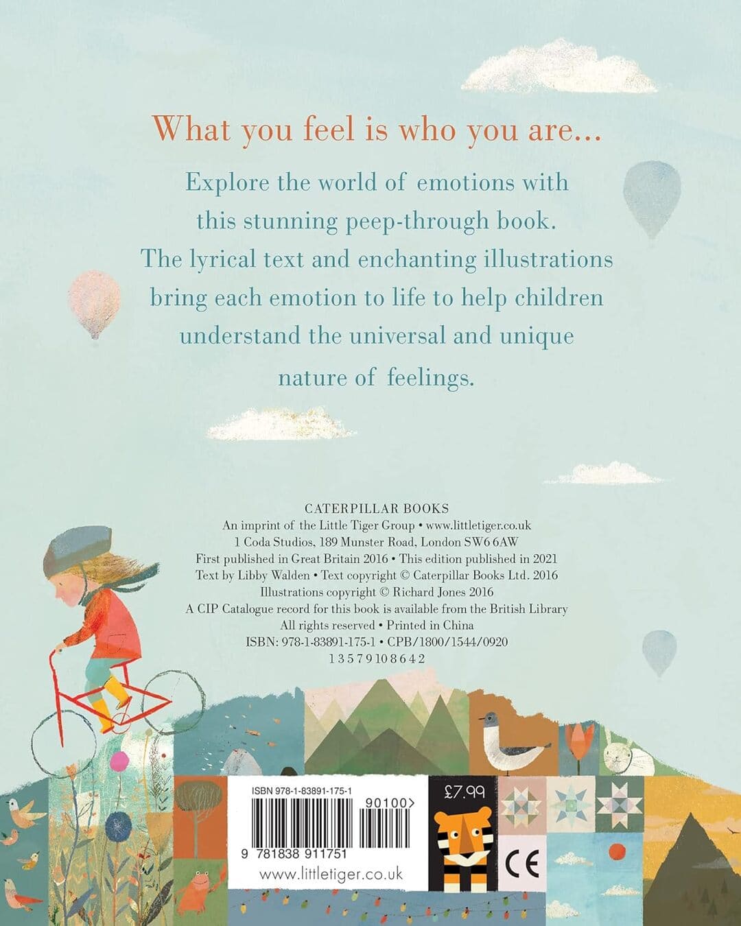 Feelings by Libby Walden & Richard Jones [Board Book]