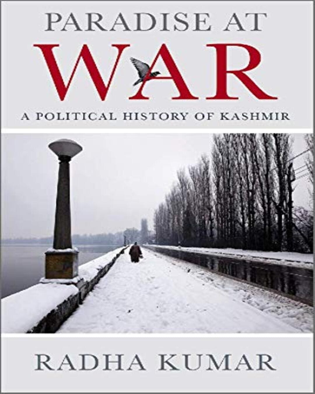 Paradise at War by Radha Kumar [Hardcover]