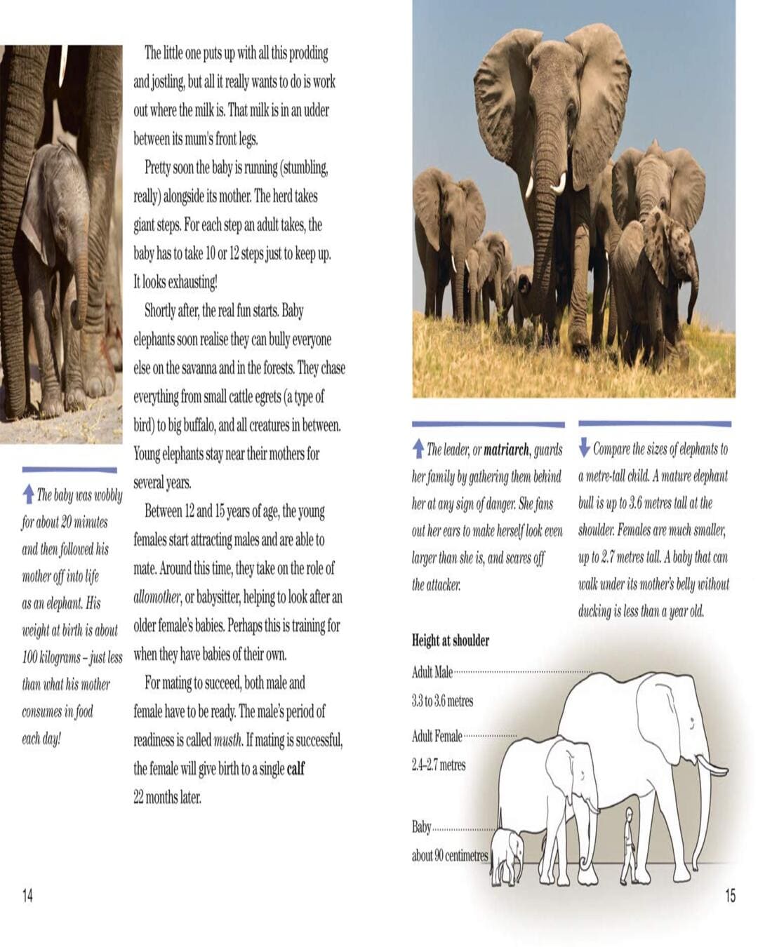 NG Readers â€” FACE TO FACE WITH ELEPHANTS: Level 6 [Paperback]