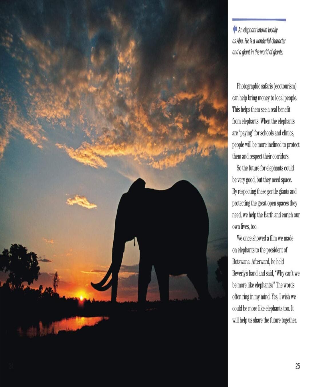 NG Readers â€” FACE TO FACE WITH ELEPHANTS: Level 6 [Paperback]