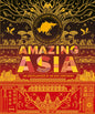 Amazing Asia : An Encyclopedia of an Epic Continent by Rashmi Sirdeshpande, Jason Lyon [Hard Cover]