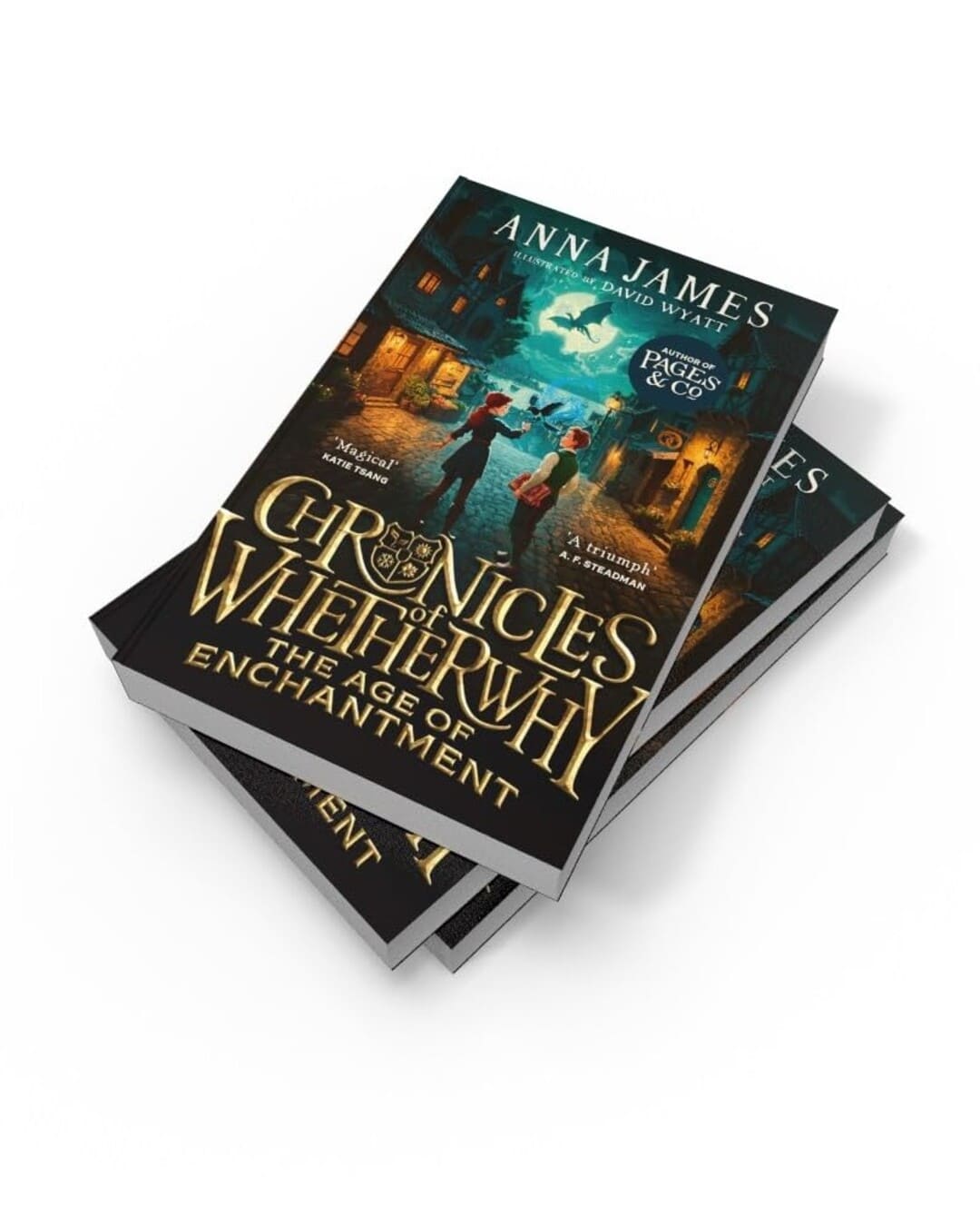 Chronicles of Whetherwhy : The Age of Enchantment by Anna James [Paperback]