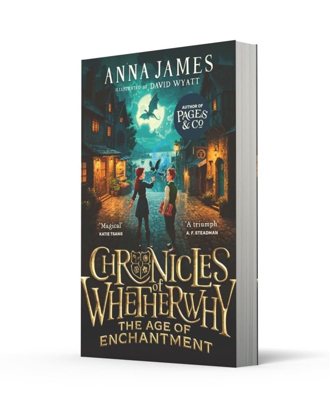 Chronicles of Whetherwhy : The Age of Enchantment by Anna James [Paperback]