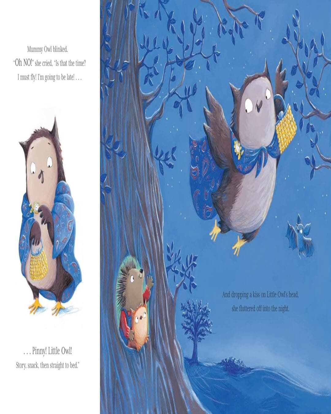 Little Owls Babysitter by Debi Gliori, Alison Brown (Illustrator) [Paperback]