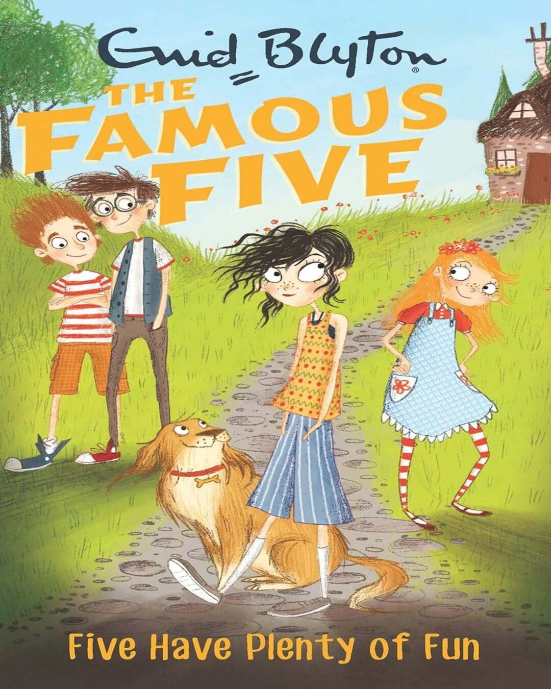 Famous Five: Five Have Plenty of Fun: 14 by Enid Blyton [Paperback]