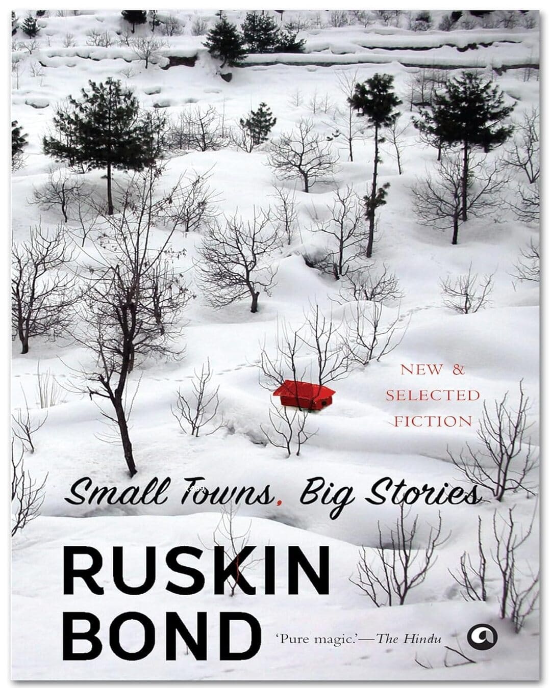 Small Towns, Big Stories by RUSKIN BOND [Hardcover]