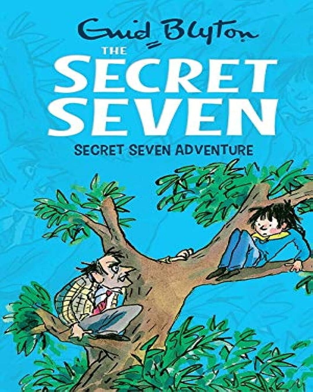 Secret Seven Adventure: 02 by Enid Blyton [Paperback]