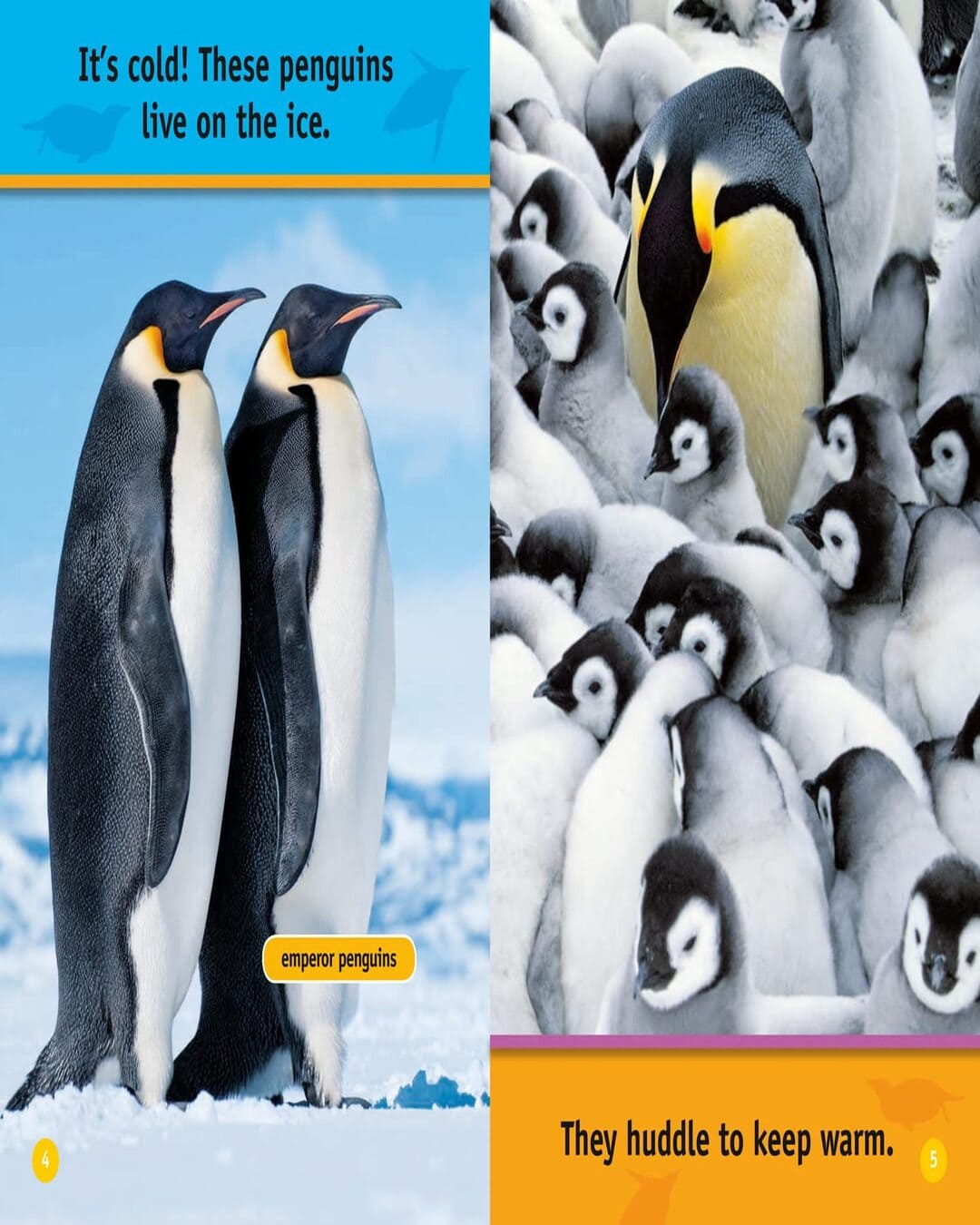 NG Readers â€” HELLO, PENGUIN!: Level 1 [Paperback]