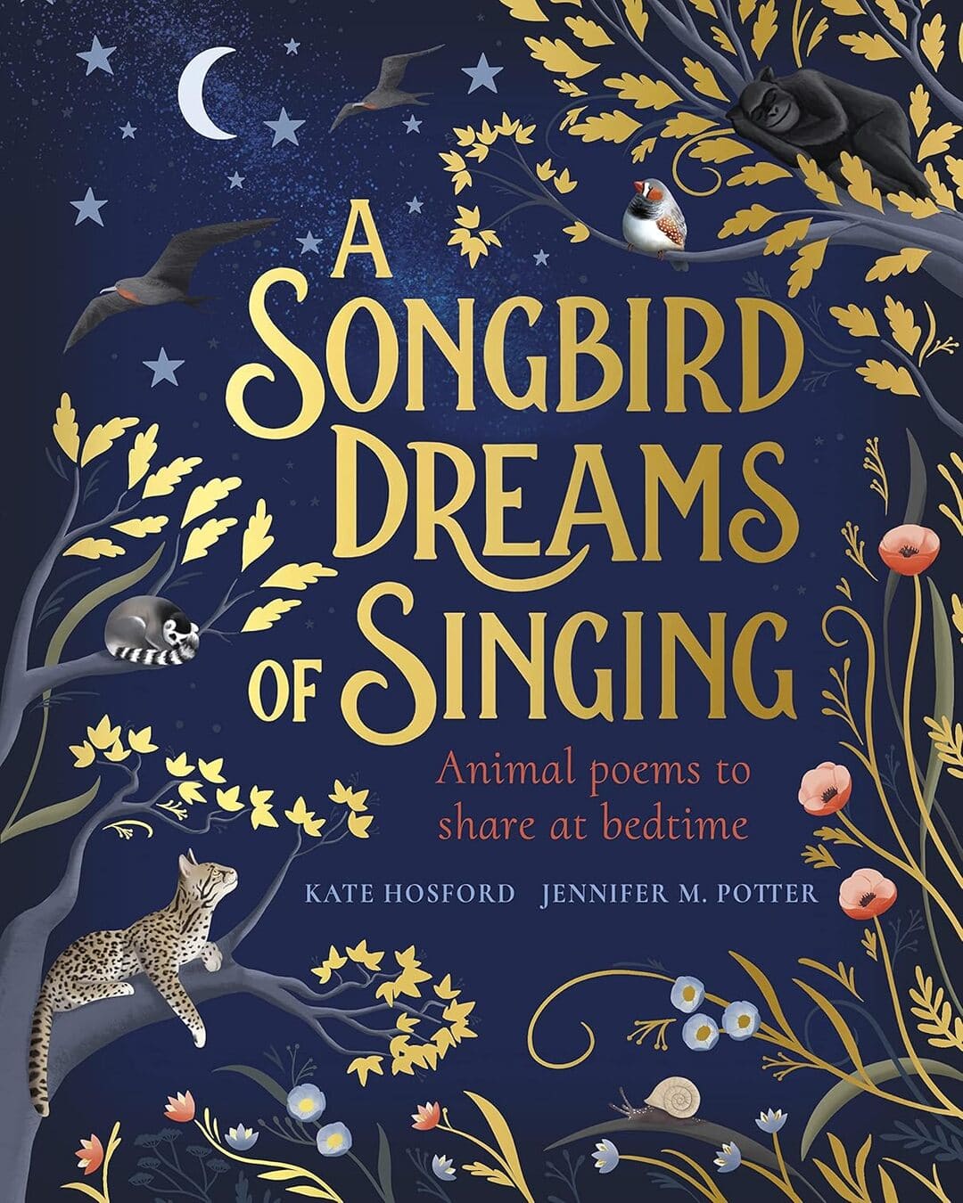 A Songbird Dreams Of Singing by Hosford, Kate [Paperback]