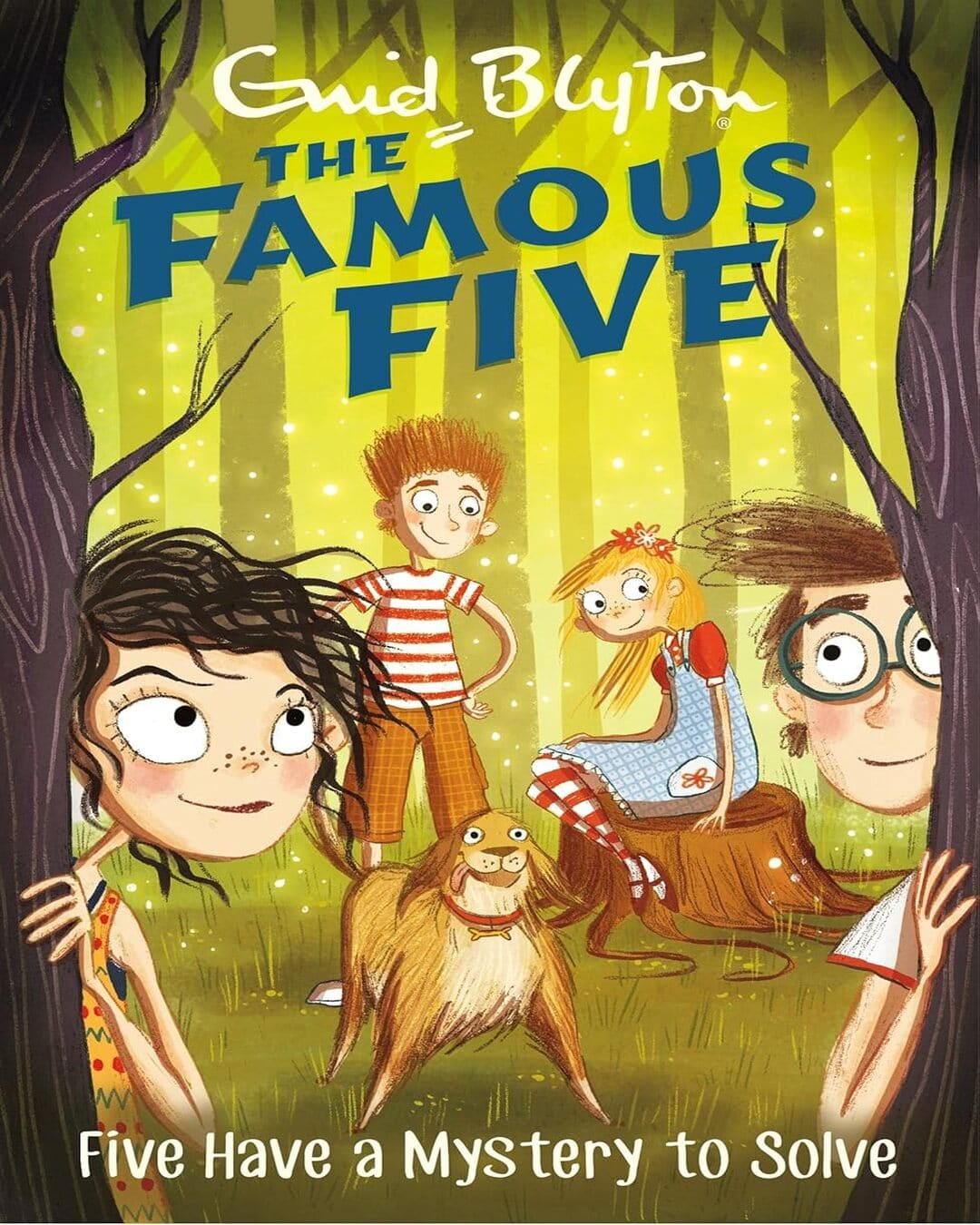 Famous Five: Five Have A Mystery to Solve: 20 by Enid Blyton [Paperback]