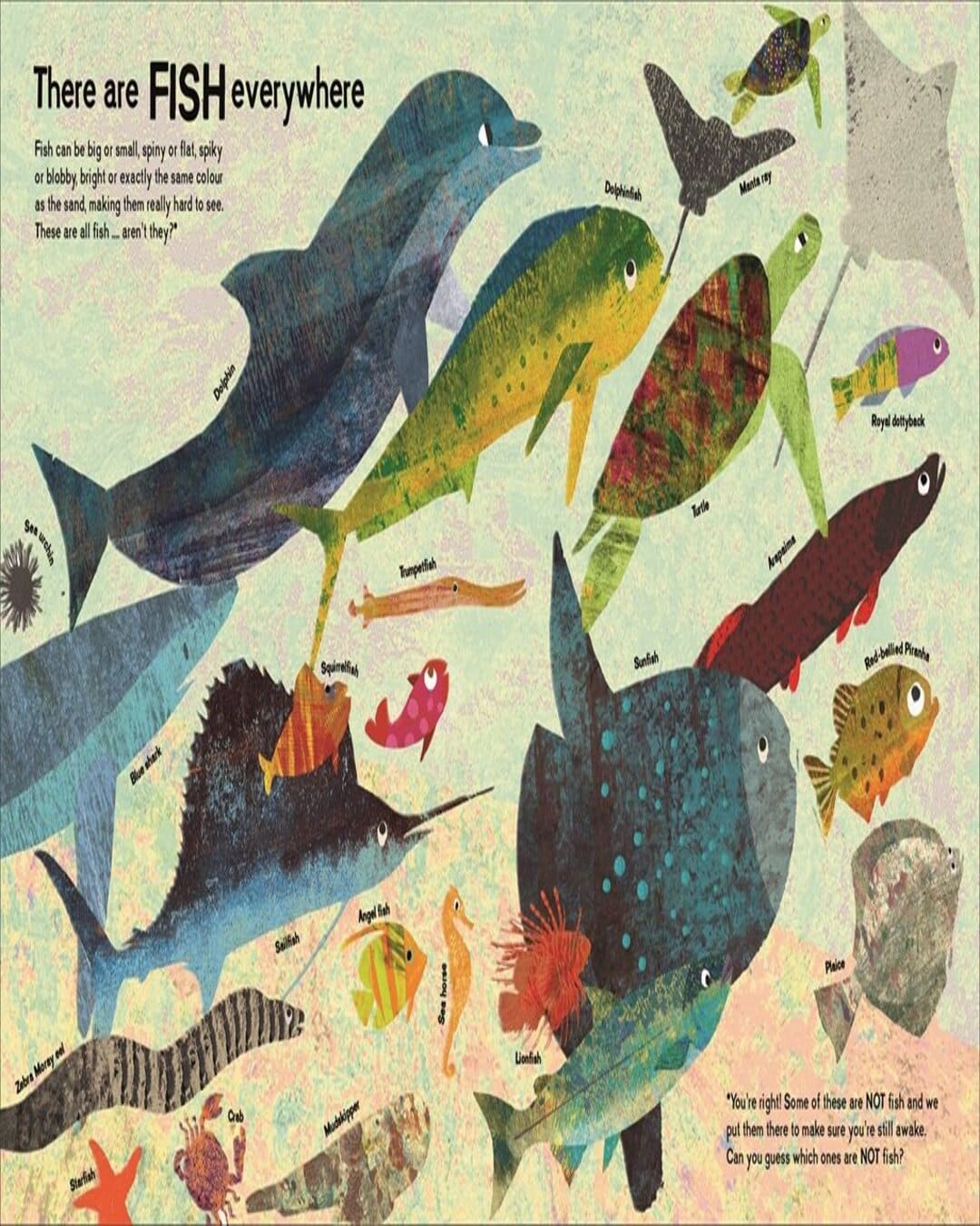 There Are Fish Everywhere by Britta Teckentrup [Hardcover]