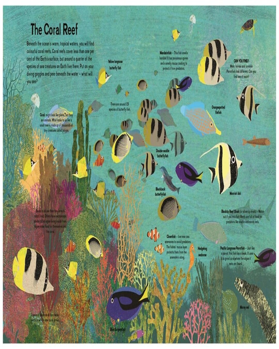 There Are Fish Everywhere by Britta Teckentrup [Hardcover]