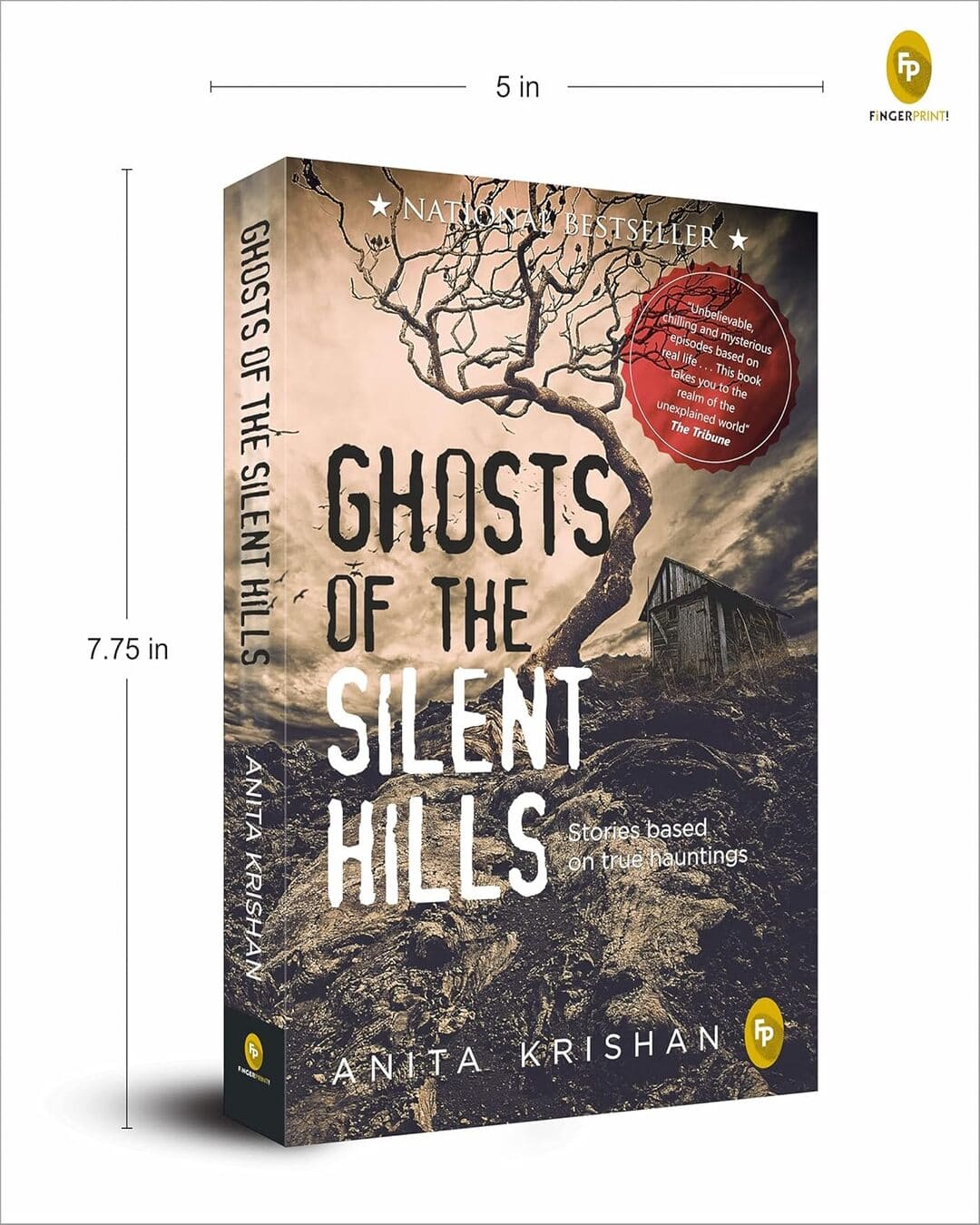 Ghosts of the Silent Hills by Anita Krishan [Paperback]