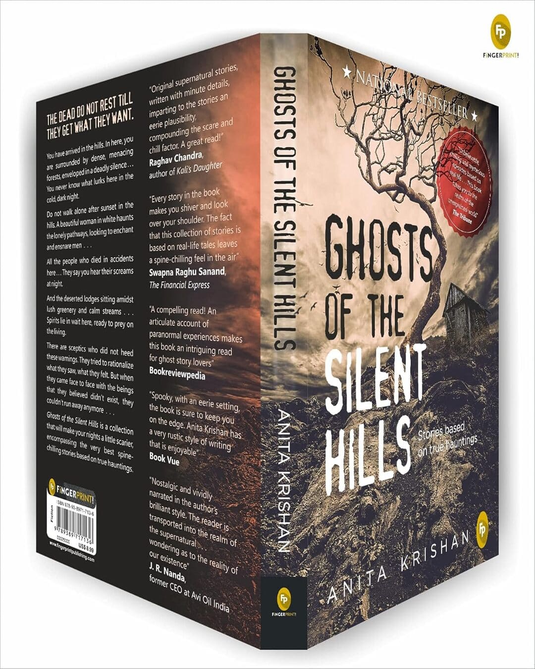 Ghosts of the Silent Hills by Anita Krishan [Paperback]