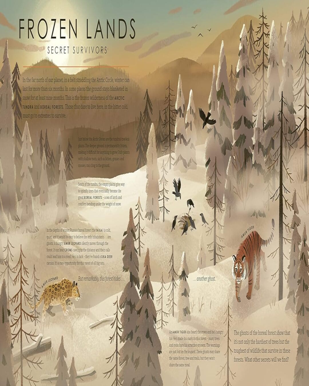 Frozen Planet Ii (For Young Wildlife-Lovers Inspired By David Attenboroughs Series) by Leisa Stewart-Sharpe [Hardcover]