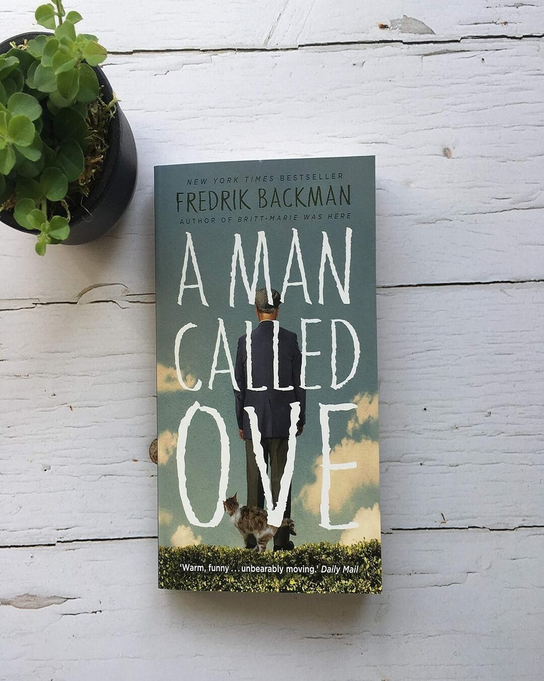 A Man Called Ove by Fredrik Backman [Paperback]