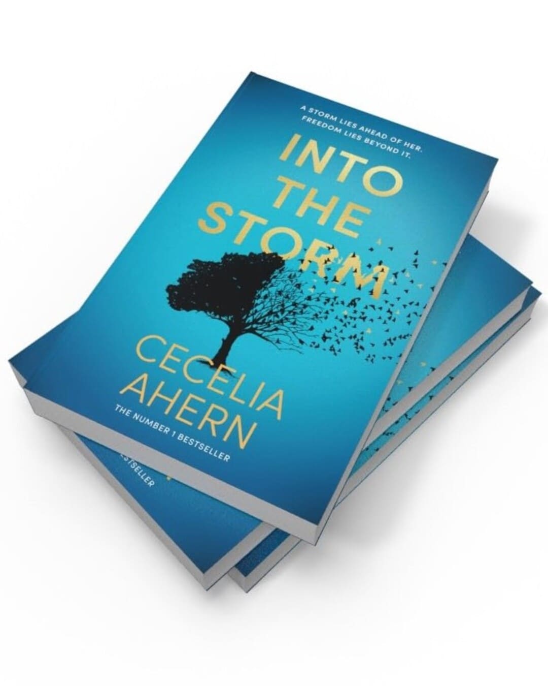 Into the Storm by Cecelia Ahern [Paperback]