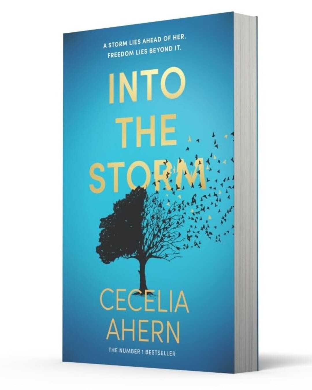 Into the Storm by Cecelia Ahern [Paperback]