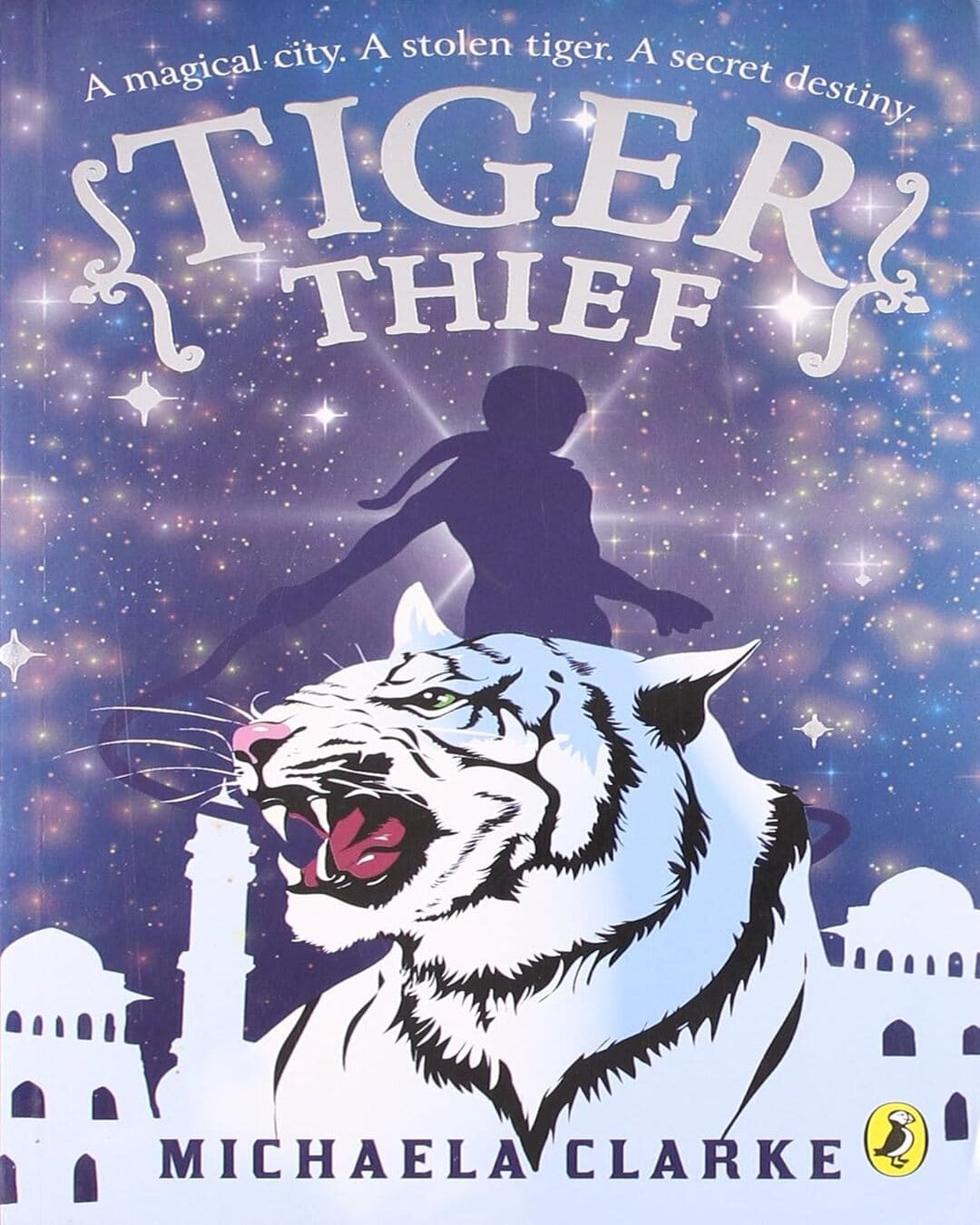 Tiger Thief by Michaela Clarke [Paperback]