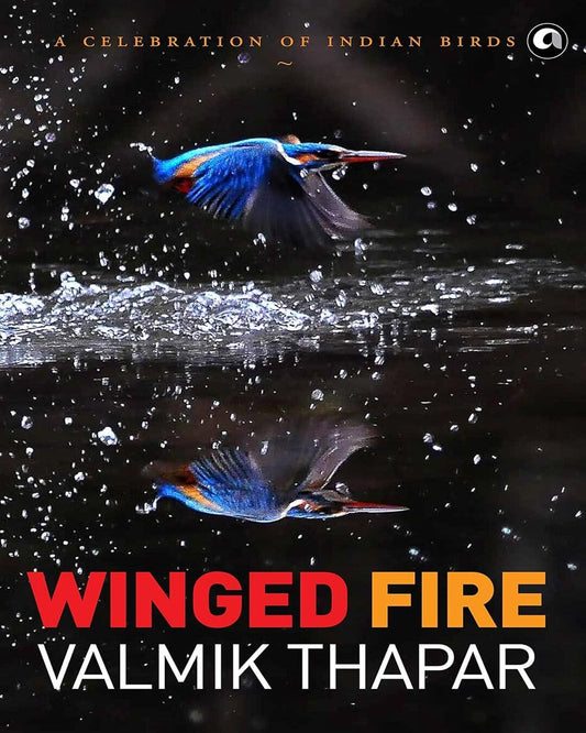 Winged Fire: A Celebration of Indian Birds, Part 3 of The Indian Wildlife Trilogy by Valmik Thapar [Hardcover]