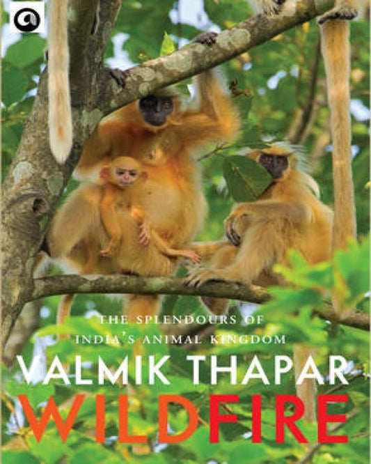 Wild Fire: The Splendours of India's Animal Kingdom, Part 2 of The Indian Wildlife Trilogy by Valmik Thapar [Hardcover]